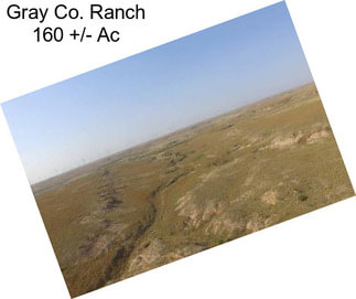 Gray Co. Ranch 160 +/- Ac