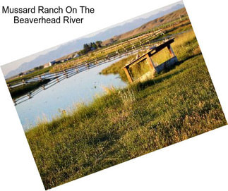 Mussard Ranch On The Beaverhead River