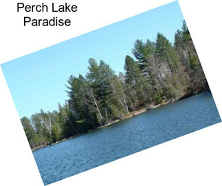 Perch Lake Paradise