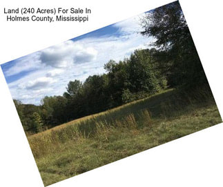 Land (240 Acres) For Sale In Holmes County, Mississippi