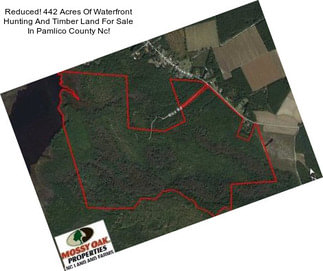 Reduced! 442 Acres Of Waterfront Hunting And Timber Land For Sale In Pamlico County Nc!
