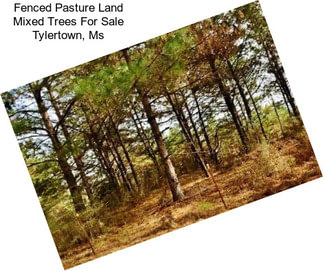 Fenced Pasture Land Mixed Trees For Sale Tylertown, Ms
