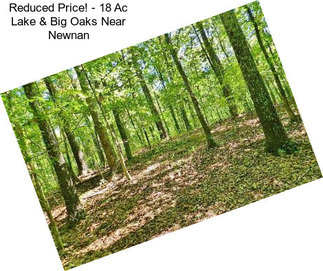 Reduced Price! - 18 Ac Lake & Big Oaks Near Newnan