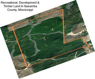 Recreational, Development & Timber Land In Itawamba County, Mississippi