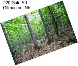 220 Gale Rd - Gilmanton, Nh