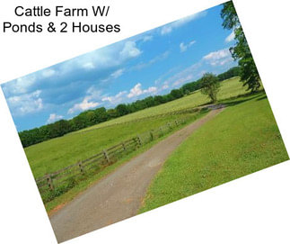Cattle Farm W/ Ponds & 2 Houses
