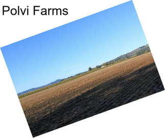 Polvi Farms