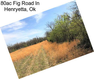 80ac Fig Road In Henryetta, Ok