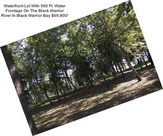 Waterfront Lot With 500 Ft. Water Frontage On The Black Warrior River In Black Warrior Bay $69,900!