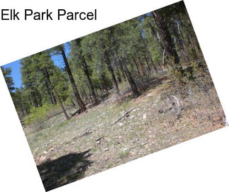 Elk Park Parcel