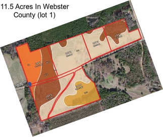 11.5 Acres In Webster County (lot 1)