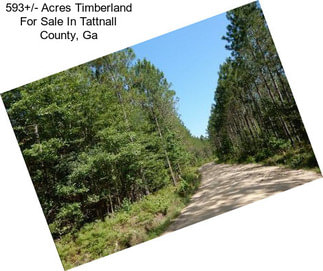 593+/- Acres Timberland For Sale In Tattnall County, Ga