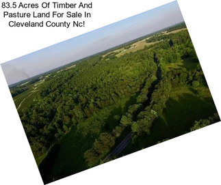 83.5 Acres Of Timber And Pasture Land For Sale In Cleveland County Nc!