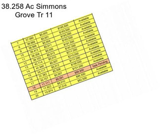 38.258 Ac Simmons Grove Tr 11