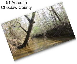 51 Acres In Choctaw County
