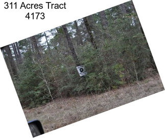 311 Acres Tract 4173
