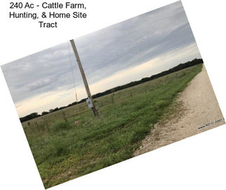 240 Ac - Cattle Farm, Hunting, & Home Site Tract