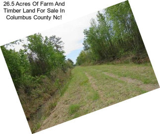 26.5 Acres Of Farm And Timber Land For Sale In Columbus County Nc!