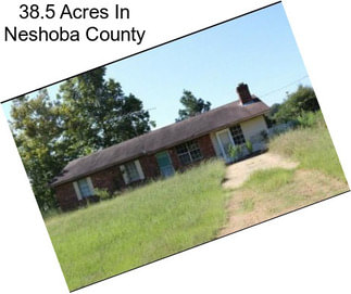 38.5 Acres In Neshoba County