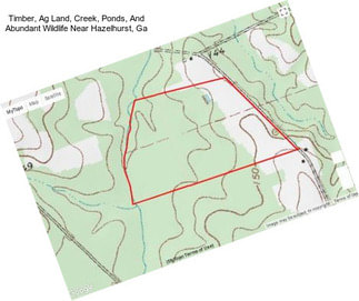 Timber, Ag Land, Creek, Ponds, And Abundant Wildlife Near Hazelhurst, Ga