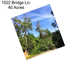 1522 Bridge Ln- 40 Acres