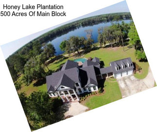 Honey Lake Plantation 500 Acres Of Main Block