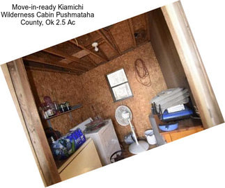 Move-in-ready Kiamichi Wilderness Cabin Pushmataha County, Ok 2.5 Ac