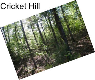 Cricket Hill