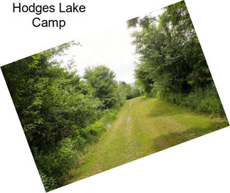 Hodges Lake Camp