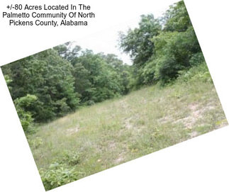 +/-80 Acres Located In The Palmetto Community Of North Pickens County, Alabama