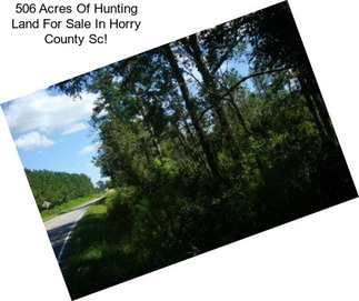 506 Acres Of Hunting Land For Sale In Horry County Sc!