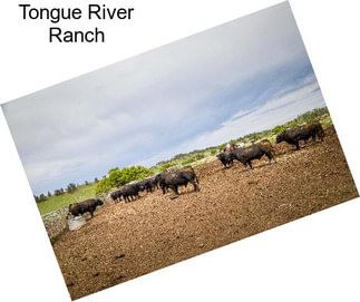 Tongue River Ranch