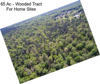 65 Ac - Wooded Tract For Home Sites