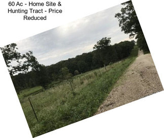 60 Ac - Home Site & Hunting Tract - Price Reduced