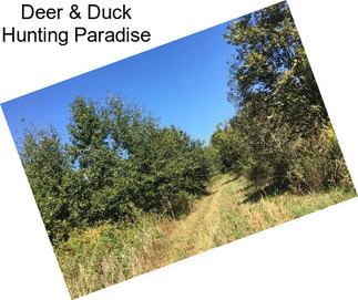 Deer & Duck Hunting Paradise