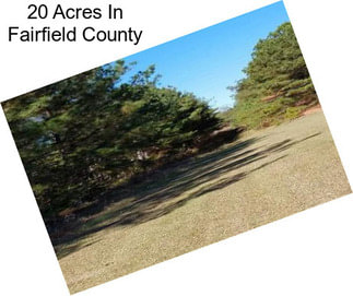 20 Acres In Fairfield County