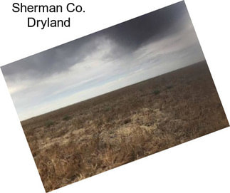 Sherman Co. Dryland