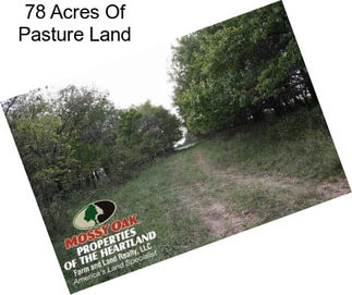 78 Acres Of Pasture Land