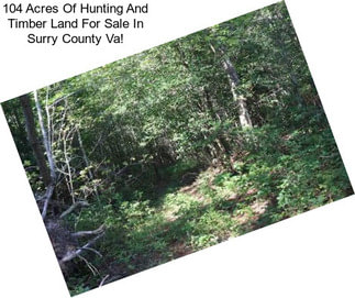 104 Acres Of Hunting And Timber Land For Sale In Surry County Va!
