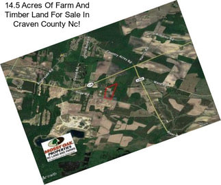 14.5 Acres Of Farm And Timber Land For Sale In Craven County Nc!