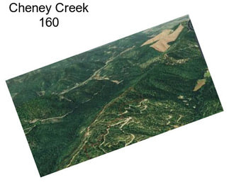 Cheney Creek 160