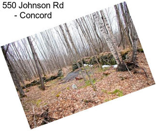 550 Johnson Rd - Concord