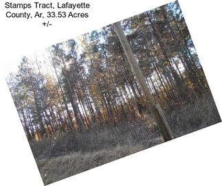 Stamps Tract, Lafayette County, Ar, 33.53 Acres +/-