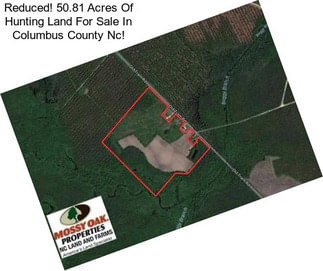 Reduced! 50.81 Acres Of Hunting Land For Sale In Columbus County Nc!