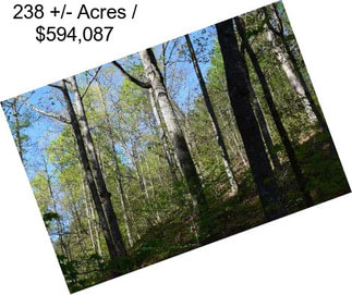 238 +/- Acres / $594,087