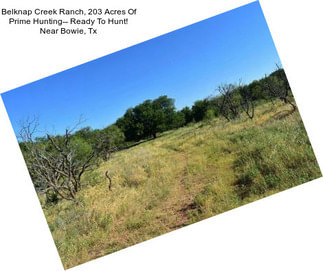 Belknap Creek Ranch, 203 Acres Of Prime Hunting-- Ready To Hunt! Near Bowie, Tx