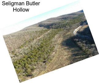 Seligman Butler Hollow