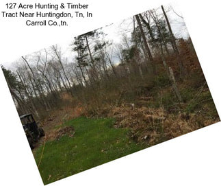 127 Acre Hunting & Timber Tract Near Huntingdon, Tn, In Carroll Co.,tn.