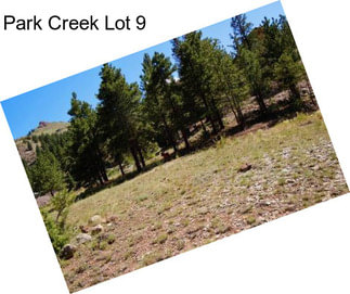 Park Creek Lot 9