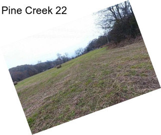 Pine Creek 22